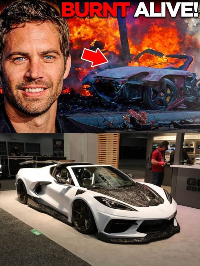 Revisiting the Paul Walker Tragedy: What the Media Didn’t Tell You!